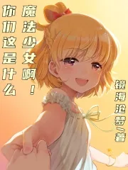 《你们这是什么魔法少女啊？！》小说封面