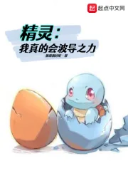 《精灵：我真的会波导之力》小说封面