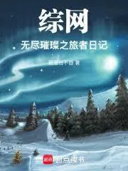 《综网：无尽璀灿之旅者日记》小说封面