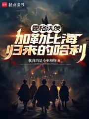 《霍格沃茨：加勒比海归来的哈利》小说封面