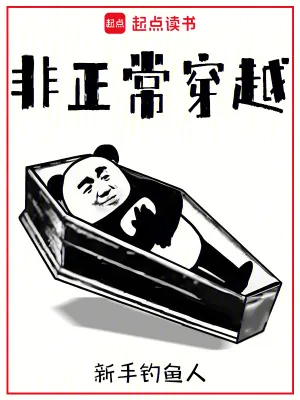 《非正常穿越》小说封面