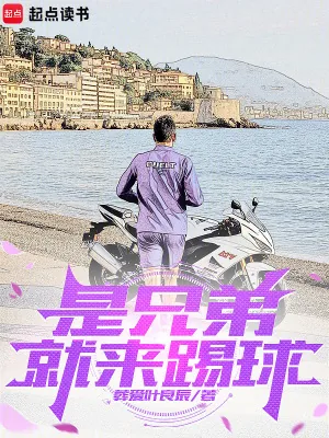 《是兄弟就来踢球》小说封面