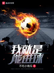 《我就是能进球》小说封面