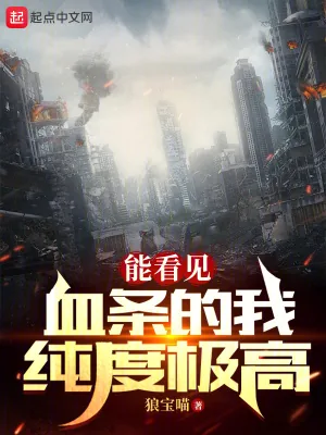 《能看见血条的我纯度极高》小说封面