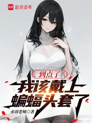 《到点了，我该戴上蝙蝠头套了》小说封面