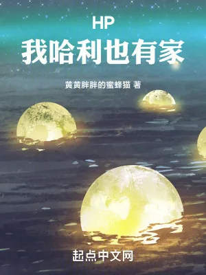 《霍格沃茨：我哈利也有家》小说封面