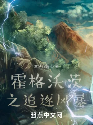 《霍格沃茨之追逐风暴》小说封面