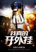 《我真的开外挂》小说封面