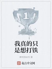 《我真的只是想打铁》小说封面