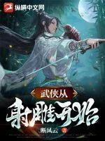 《武侠从射雕开始》小说封面