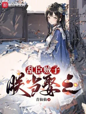 《乱臣贼子朕当娶之》小说封面