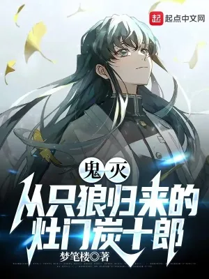 《鬼灭：从只狼归来的灶门炭十郎》小说封面