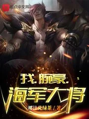 《我，腕豪，海军大将》小说封面