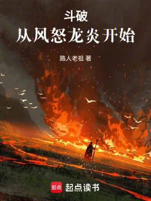 《斗破从风怒龙炎开始》小说封面