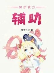 《保护我方辅助》小说封面