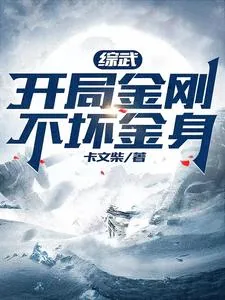 《综武：开局金刚不坏金身》小说封面