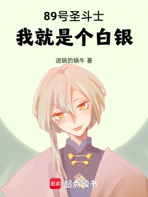 《89号圣斗士：我就是个白银》小说封面
