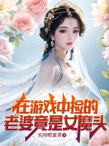 《在游戏中捡的老婆竟是女魔头》小说封面