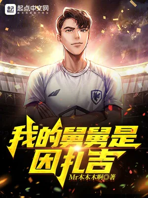 《我的舅舅是因扎吉》小说封面
