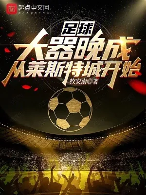 《足球：大器晚成，从莱斯特城开始》小说封面