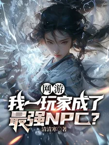 《网游：我一玩家成了最强NPC？》小说封面