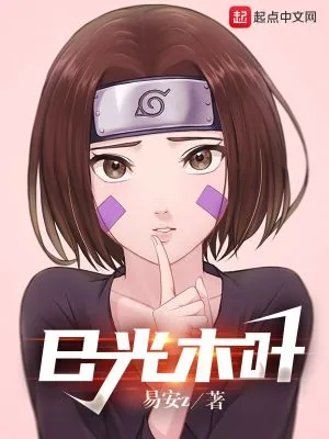 《日光木叶》小说封面