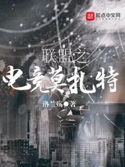 《联盟之电竞莫扎特》小说封面