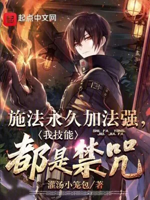 《施法永久加法强，我技能都是禁咒》小说封面