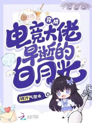 《穿成电竞大佬早逝的白月光》小说封面