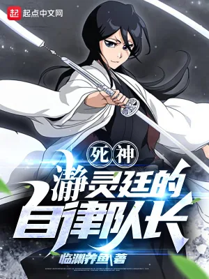 《死神：瀞灵廷的自律队长》小说封面