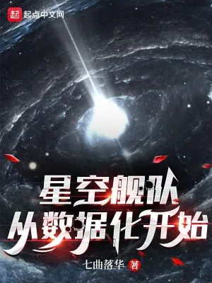 《星空舰队，从数据化开始》小说封面