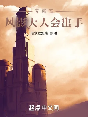 《无所谓，风影大人会出手》小说封面