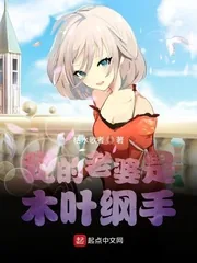 《我的老婆是木叶纲手》小说封面