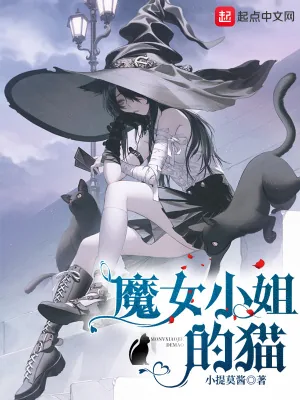 《魔女小姐的猫》小说封面
