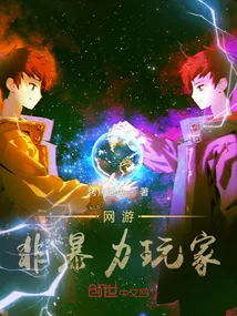 《网游：非暴力玩家》小说封面
