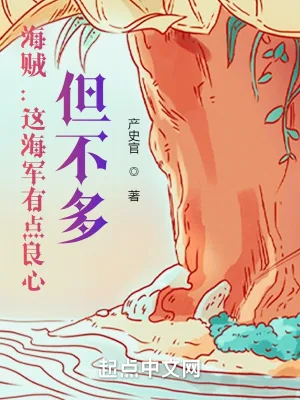 《海贼：这海军有点良心，但不多》小说封面
