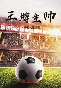 《王牌主帅》小说封面