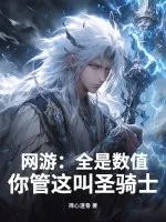 《网游：全是数值，你管这叫圣骑士？》小说封面