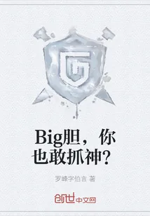 《Big胆，你也敢抓神？》小说封面
