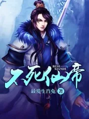《不死仙帝》小说封面