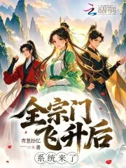 《全宗门飞升后，系统来了》小说封面