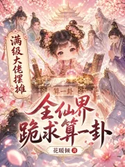 《满级大佬摆摊，全仙界跪求算一卦》小说封面