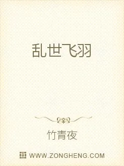 《乱世飞羽》小说封面