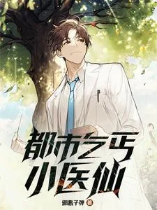 《都市乞丐小医仙》小说封面