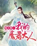 《晚上撩,我的魔君大人》小说封面