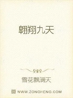 《翱翔九天》小说封面