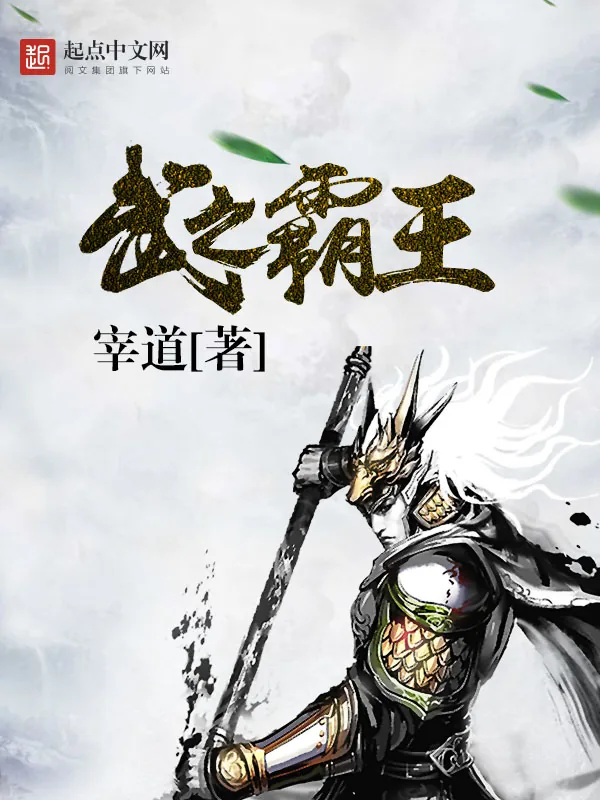 《武之霸王》小说封面