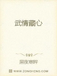 《武情藏心》小说封面