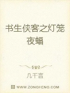 《书生侠客之灯笼夜蝠》小说封面