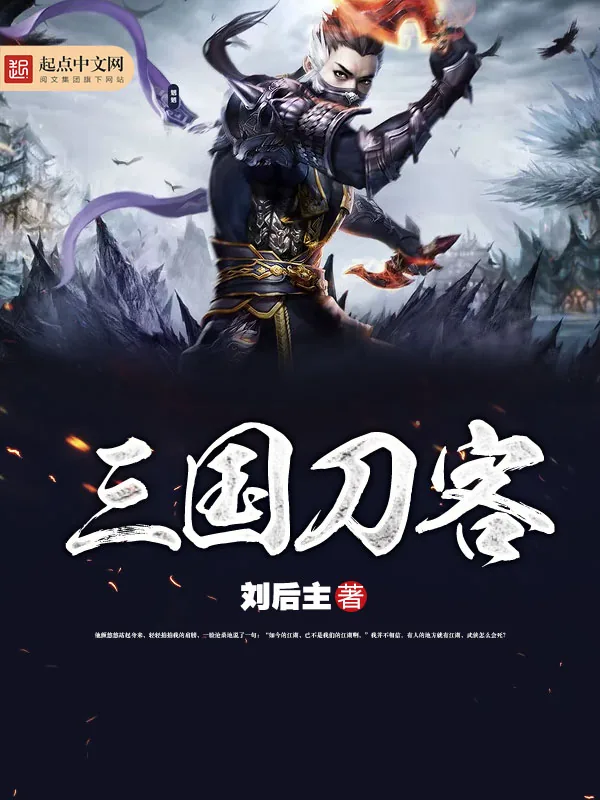 《三国刀客》小说封面